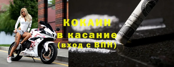 ПСИЛОЦИБИНОВЫЕ ГРИБЫ Гусев