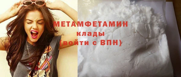 ПСИЛОЦИБИНОВЫЕ ГРИБЫ Гусев
