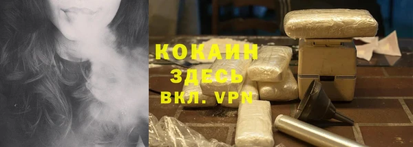 ПСИЛОЦИБИНОВЫЕ ГРИБЫ Гусев