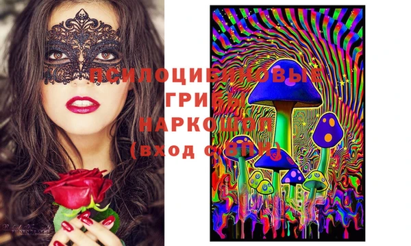 дмт Гусиноозёрск