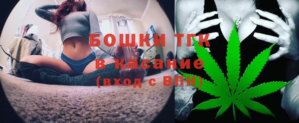 ПСИЛОЦИБИНОВЫЕ ГРИБЫ Гусев