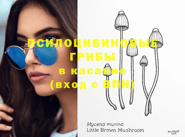 дмт Гусиноозёрск