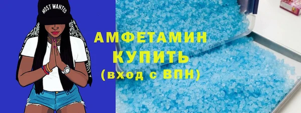 сатива Гусь-Хрустальный