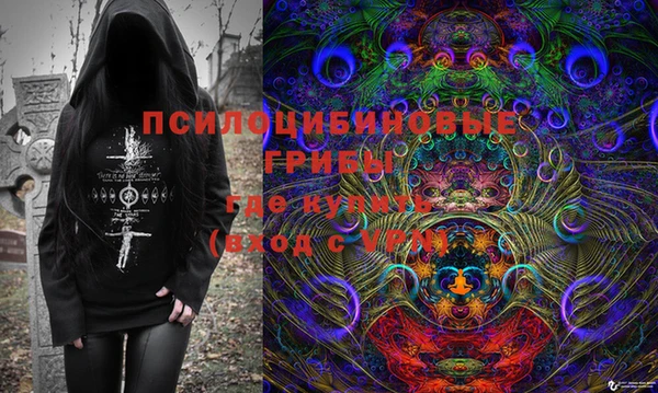 сатива Гусь-Хрустальный