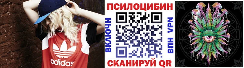 Купить закладки  Костерёво  Галлюциногенные грибы Magic Shrooms 